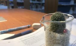 Featured image of post My Matlab LMI Toolbox user guide