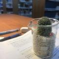 矩陣偏微分計算筆記